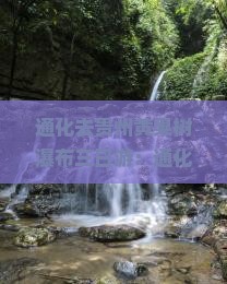 通化去贵州黄果树瀑布三日游：通化至贵州行程及公里数解析