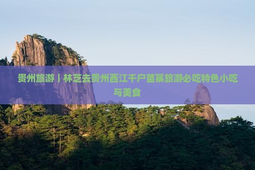 贵州旅游｜林芝去贵州西江千户苗寨旅游必吃特色小吃与美食