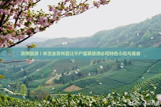 贵州旅游｜林芝去贵州西江千户苗寨旅游必吃特色小吃与美食