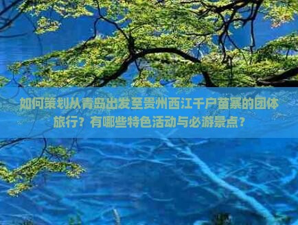 如何策划从青岛出发至贵州西江千户苗寨的团体旅行？有哪些特色活动与必游景点？