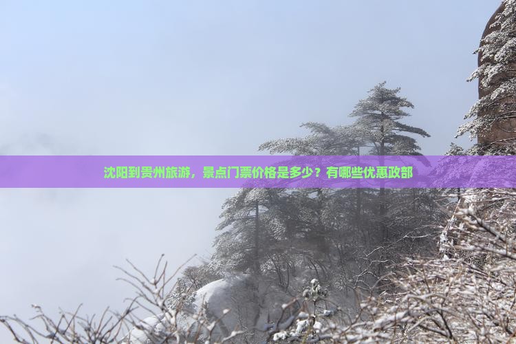 沈阳到贵州旅游，景点门票价格是多少？有哪些优惠政部