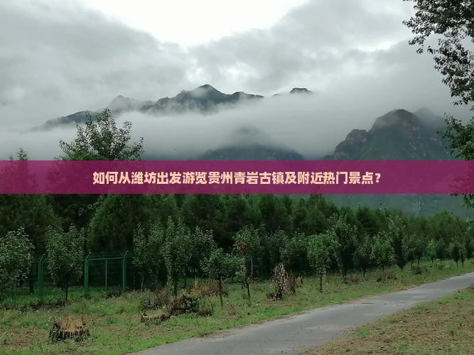 如何从潍坊出发游览贵州青岩古镇及附近热门景点？