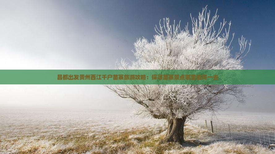 昌都出发贵州西江千户苗寨旅游攻略：探寻苗寨景点哪里值得一去
