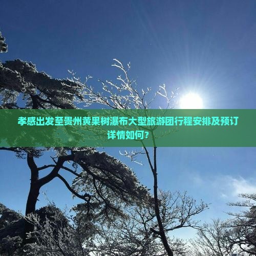 孝感出发至贵州黄果树瀑布大型旅游团行程安排及预订详情如何？