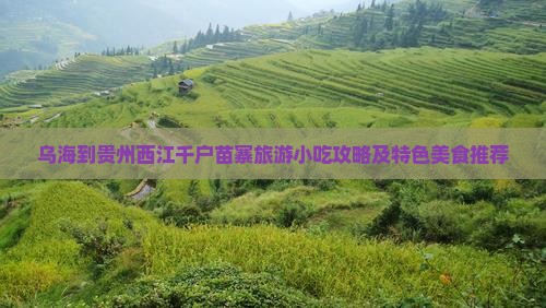 乌海到贵州西江千户苗寨旅游小吃攻略及特色美食推荐