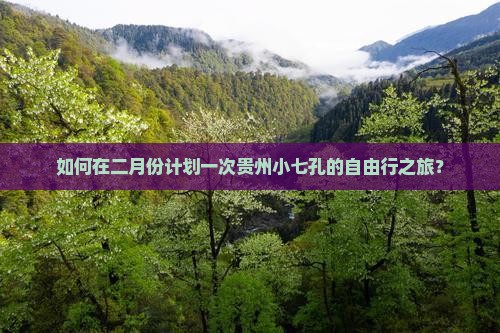如何在二月份计划一次贵州小七孔的自由行之旅？