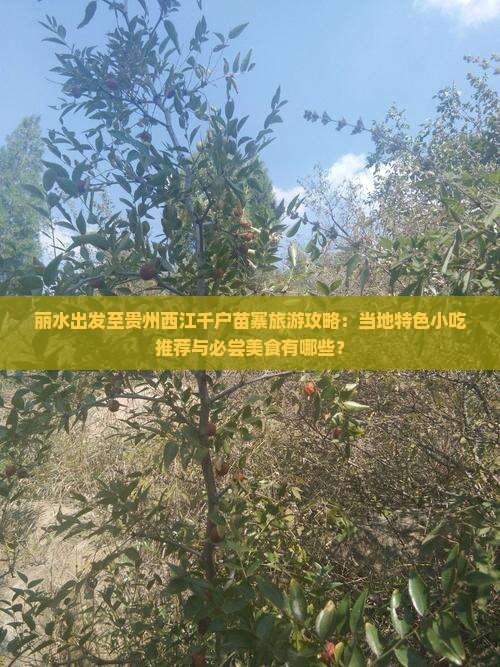 丽水出发至贵州西江千户苗寨旅游攻略：当地特色小吃推荐与必尝美食有哪些？