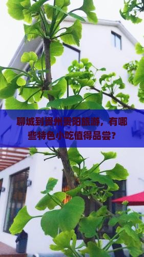 聊城到贵州贵阳旅游，有哪些特色小吃值得品尝？