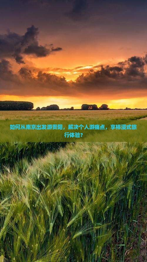 如何从南京出发游贵阳，解决个人游痛点，享柿浸式旅行体验？
