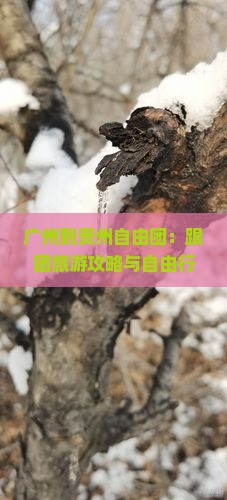 广州到贵州自由团：跟团旅游攻略与自由行路线详解