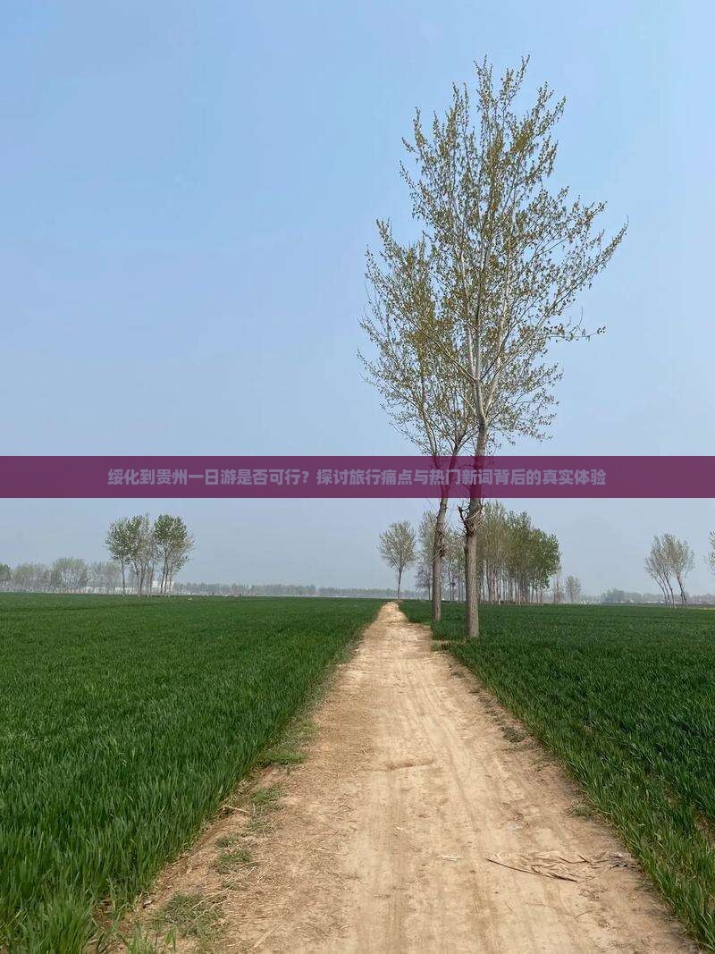 绥化到贵州一日游是否可行？探讨旅行痛点与热门新词背后的真实体验