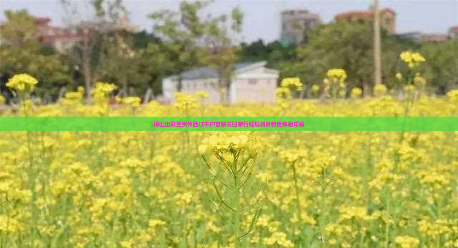 保山出发至贵州西江千户苗寨三日游行程规划及特色体验详解