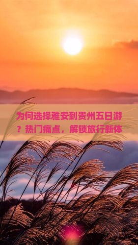 为何选择雅安到贵州五日游？热门痛点，解锁旅行新体验！