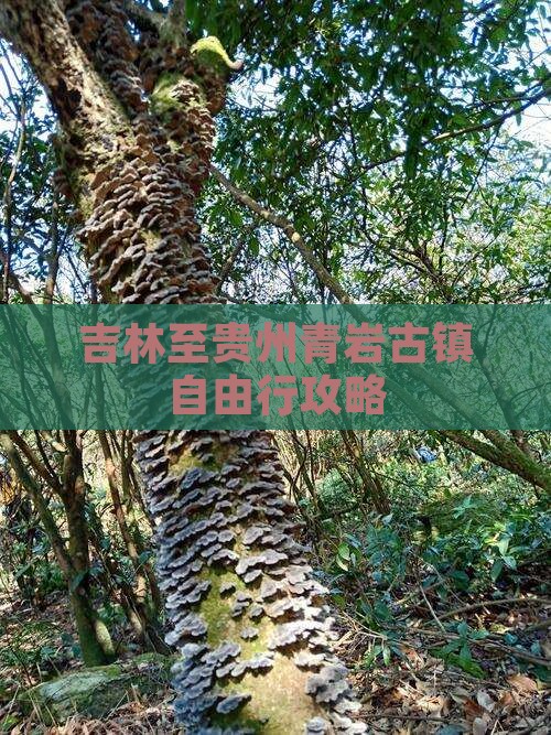吉林至贵州青岩古镇自由行攻略