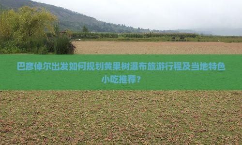 巴彦倬尔出发如何规划黄果树瀑布旅游行程及当地特色小吃推荐？