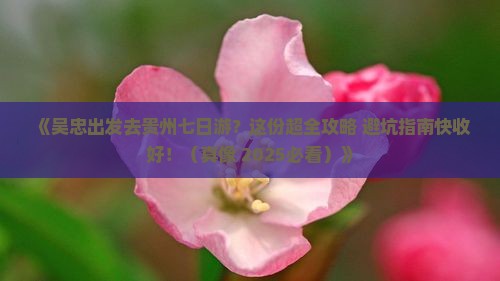 吴忠去贵州七日游