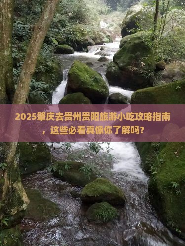 肇庆去贵州贵阳旅游小吃