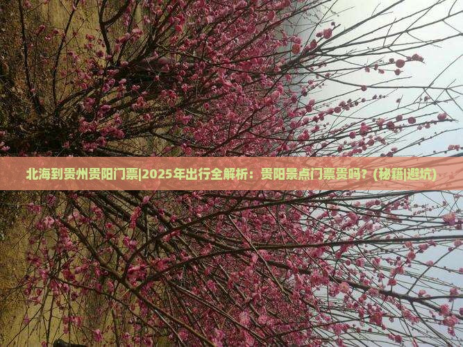 北海到贵州贵阳门票