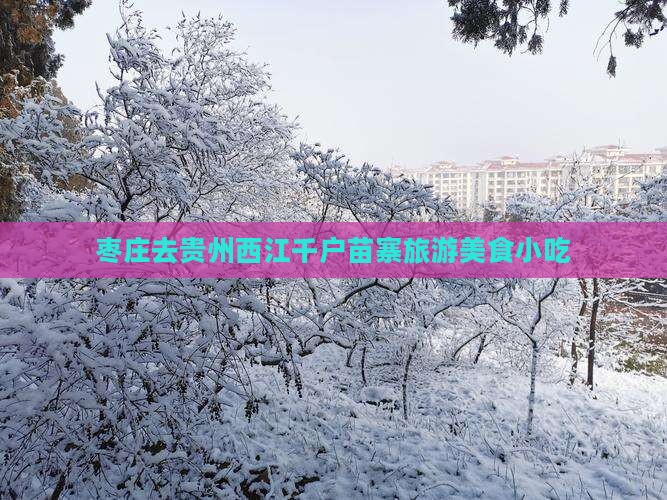 枣庄去贵州西江千户苗寨旅游小吃