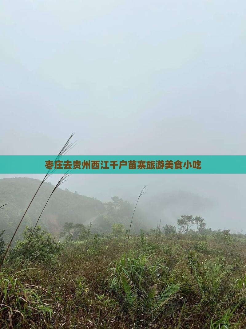 枣庄去贵州西江千户苗寨旅游小吃