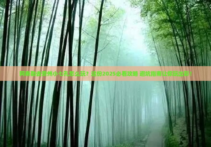 阿泰勒去贵州小七孔哪里玩