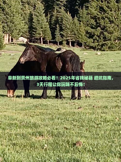 阜新到贵州旅游