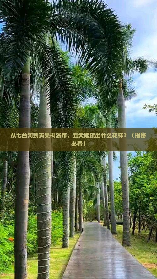 七台河到贵州黄果树瀑布五日游