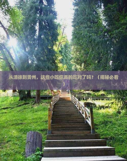 清徐到贵州旅游小吃