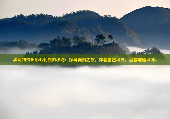 黑河到贵州小七孔旅游小吃