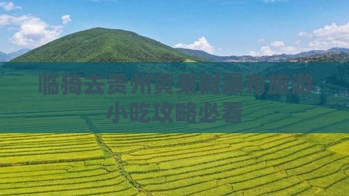 临猗去贵州黄果树瀑布旅游小吃