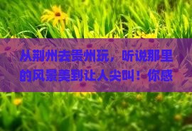 荆州到贵州旅游