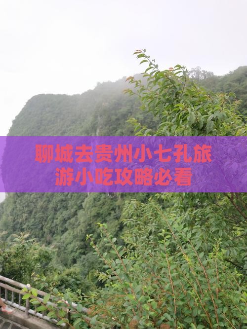 聊城去贵州小七孔旅游小吃