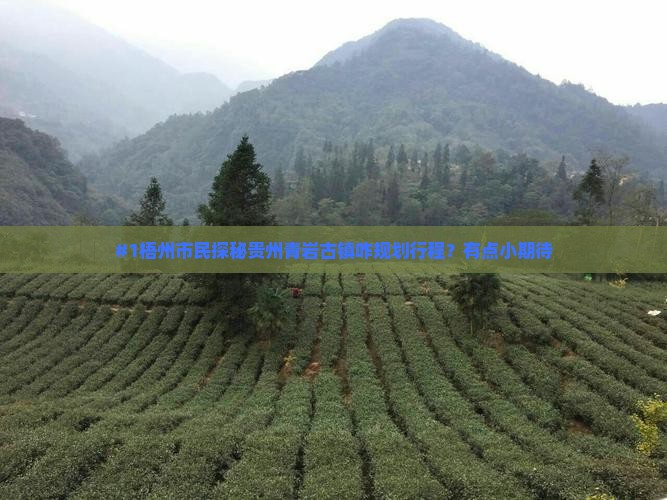 梧州到贵州青岩古镇个人游