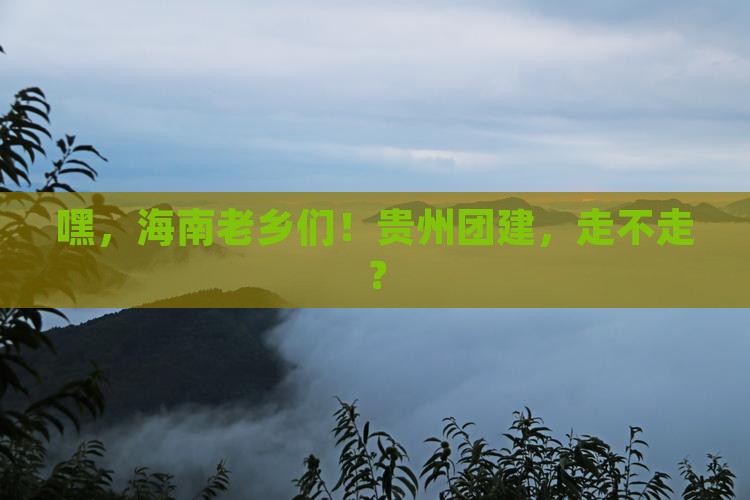 海南省直辖去贵州团体旅游