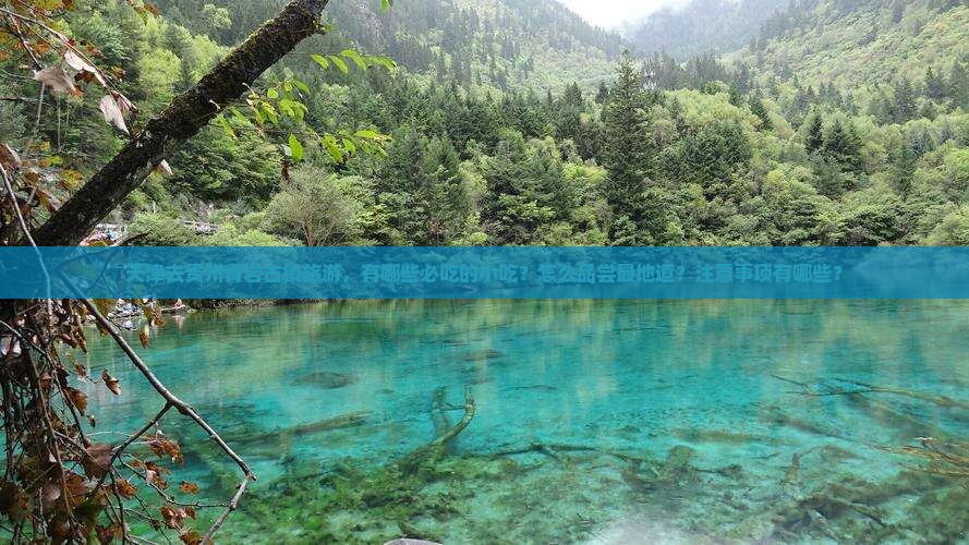 天津去贵州青岩古镇旅游小吃