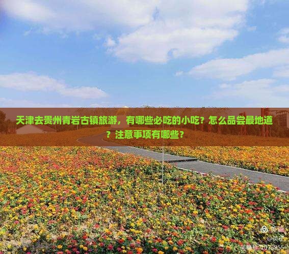 天津去贵州青岩古镇旅游小吃