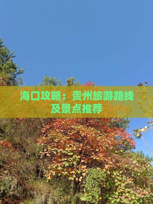 海口去贵州哪里玩