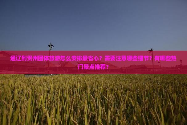 通辽到贵州团体旅游