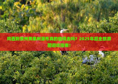 鸡西到贵州黄果树瀑布大型旅游团