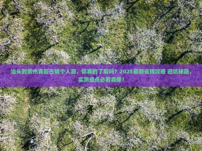 汕头到贵州青岩古镇个人游