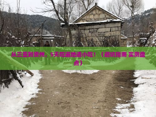 三亚去贵州旅游小吃