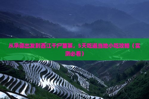 承德到贵州西江千户苗寨旅游小吃