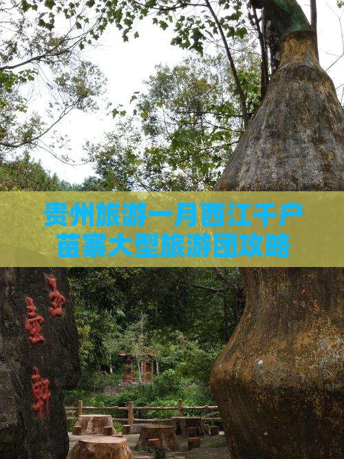 一月到贵州西江千户苗寨大型旅游团