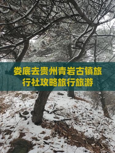 娄底去贵州青岩古镇旅行社