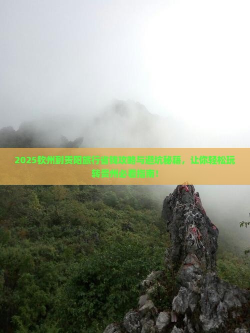 钦州到贵州贵阳旅行社