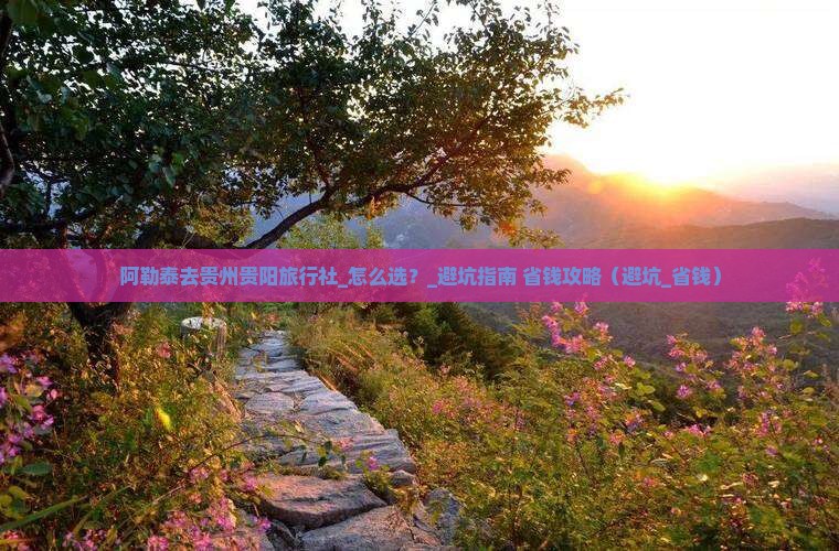 阿勒泰去贵州贵阳旅行社
