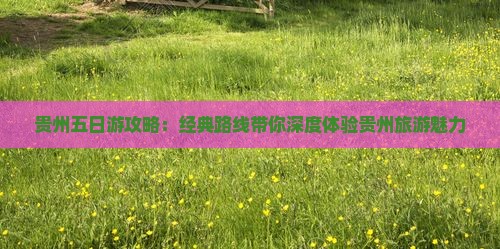 贵州五日游攻略：经典路线带你深度体验贵州旅游魅力