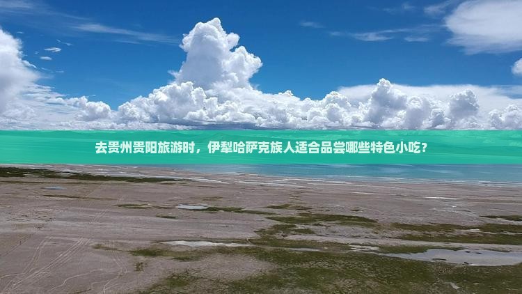 去贵州贵阳旅游时，伊犁哈萨克族人适合品尝哪些特色小吃？