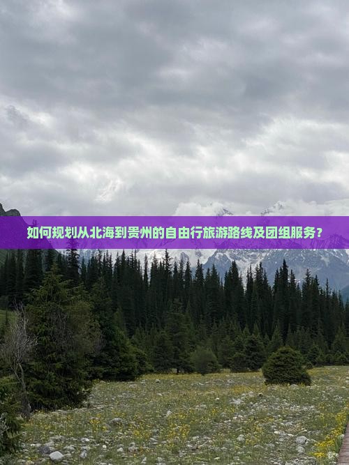 如何规划从北海到贵州的自由行旅游路线及团组服务？
