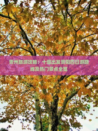 贵州旅游攻略：十堰出发贵阳四日游路线及热门景点全览